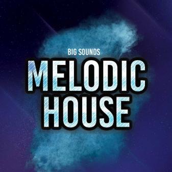 https://static.reveal-sound.com/store/product/Big_Sounds_Melodic_House/files/cover_337.jpg