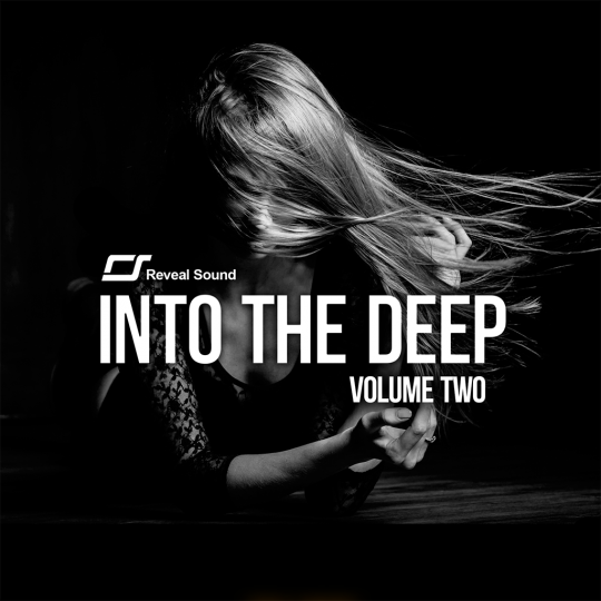 Into The Deep Vol.2 soundbank cover
